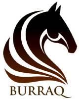 Burraq Construction